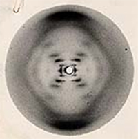 Diagrama de difracción de una fibra de ADN, obtenido por Rosalind Franklin